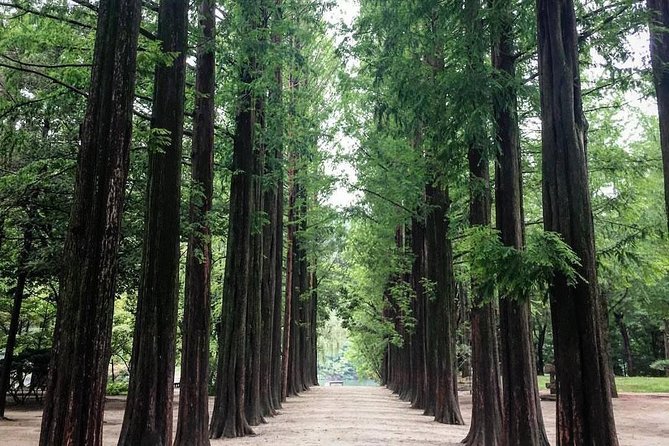 Private Nami Island Area Oneday Tour(Alpaca,Rail Bike Etc.) - Garden of the Morning Calm Visit