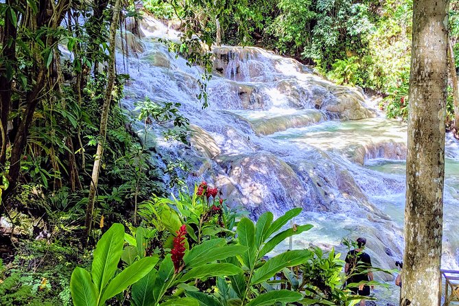 Private Ocho Rios Highlight Tour - Common Questions