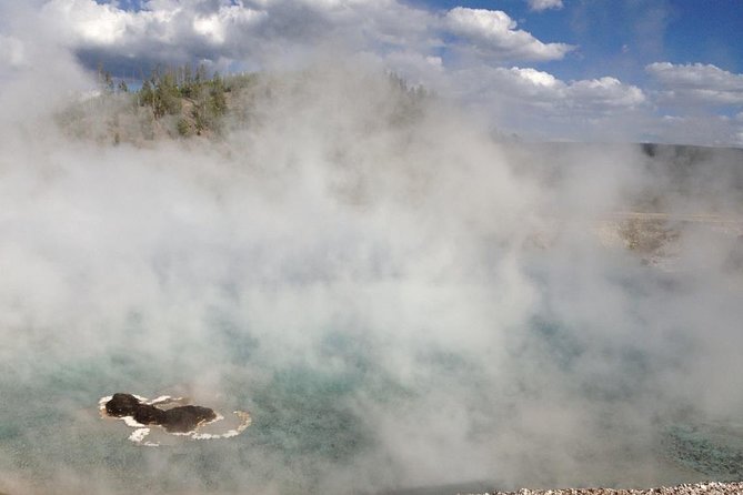 Private “Pet Friendly” Yellowstone National Park Tours by CWA - The Sum Up