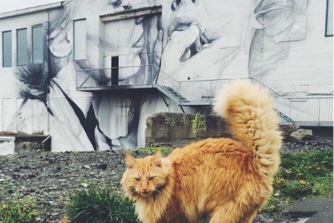 Private Reykjavik Cat Walking Tour - Pricing and Group Size Options