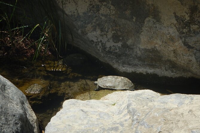 Private River Trekking and Gorge Walking Adventure in Crete - Reviews and Recommendations From Travelers