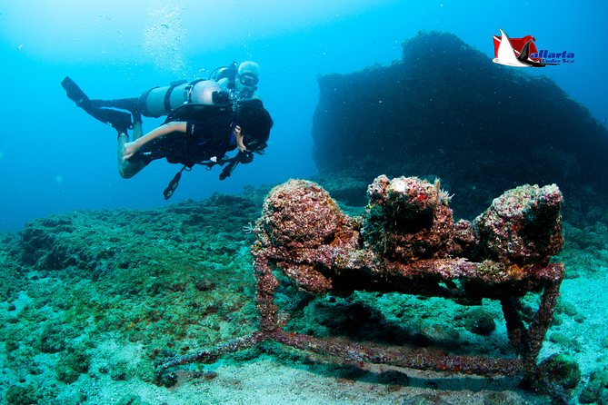 Private Scuba Diving Puerto Vallarta Undersea - Common Questions