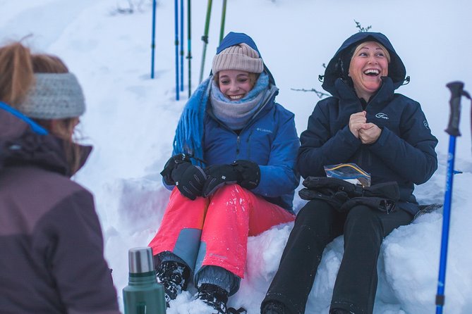 Private Snowshoe Hike X Tesla Experience - The Sum Up
