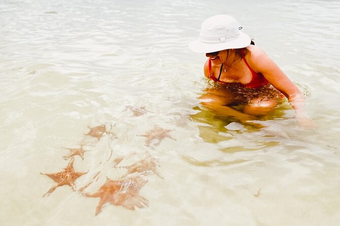 Private: Stingray City, Starfish, Snorkeling - 6 Guests - Common Questions