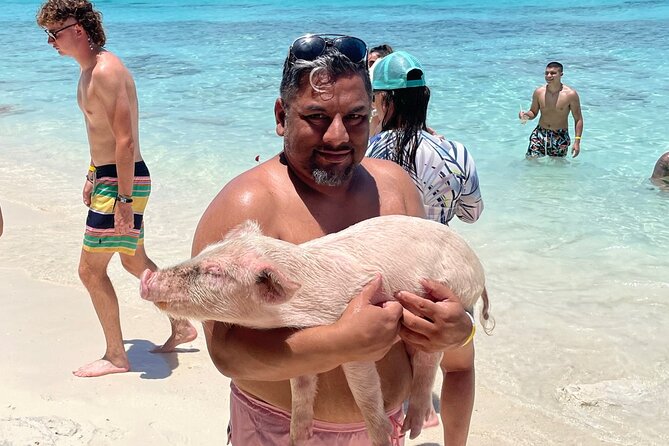 Private Swimming Pigs, Underwater Scooter/Turtles Excursion - Questions and Help