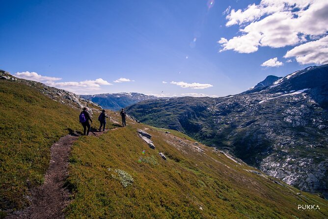 Private Tesla X Fjord Hiking - Important Information and Additional Details