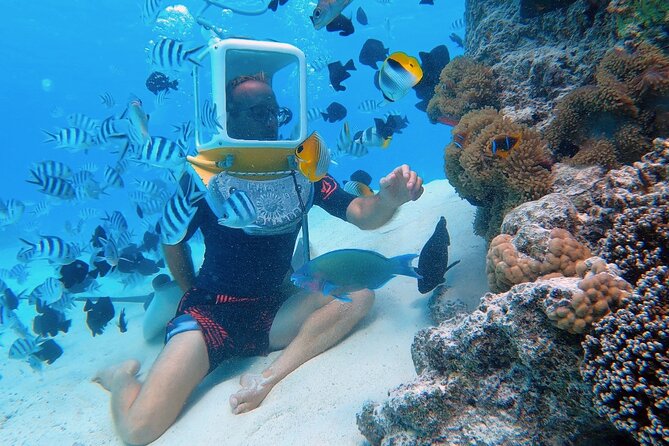 Private Tour: Aqua Safari Scuba Diving - Health and Medical Considerations