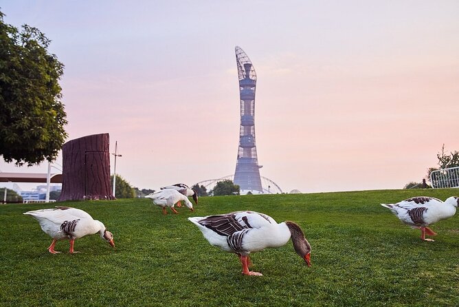 Private Tour Doha to Discover Musfur Sinkhole and Aspire Park - Common Questions