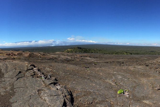 Private Tour: Hawaii Volcanoes National Park Eco Tour - Guides Knowledge and Recommendations