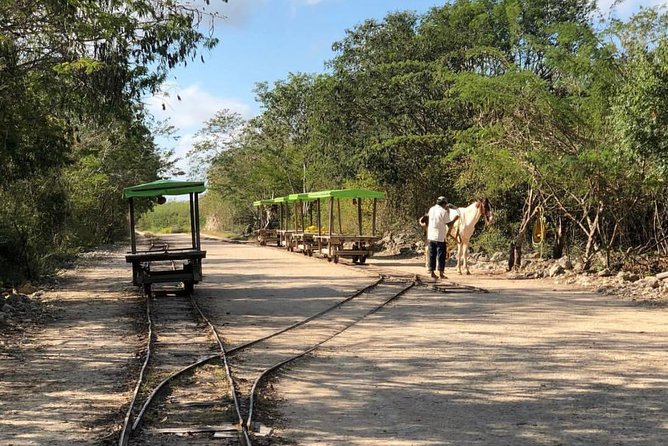 Private Tour: Homun Cenotes Day Trip - Booking Information