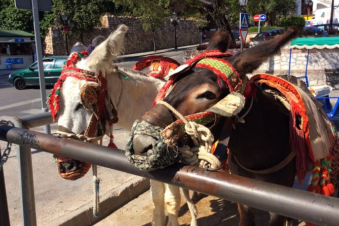 Private Tour in Mijas Pueblo From Costa Del Sol - The Sum Up