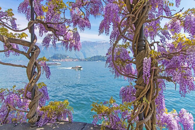 Private Tour: Lake Como From Milan With Private Driver and Boat - Common Questions