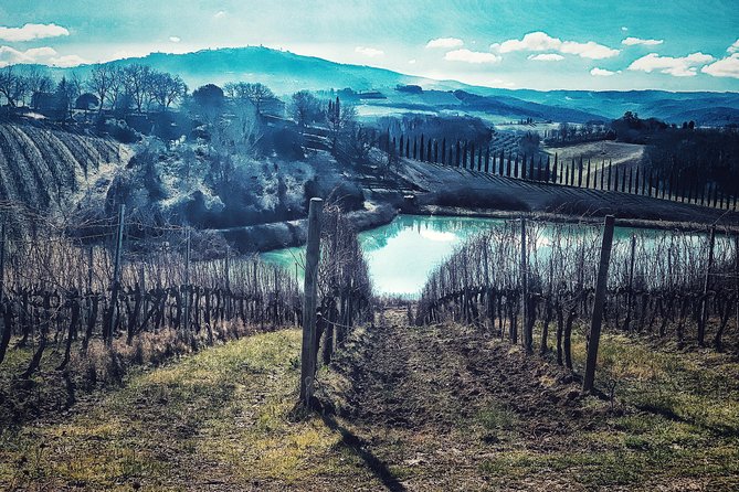 Private Tour: Montalcino Wine Tasting Experience - Common Questions