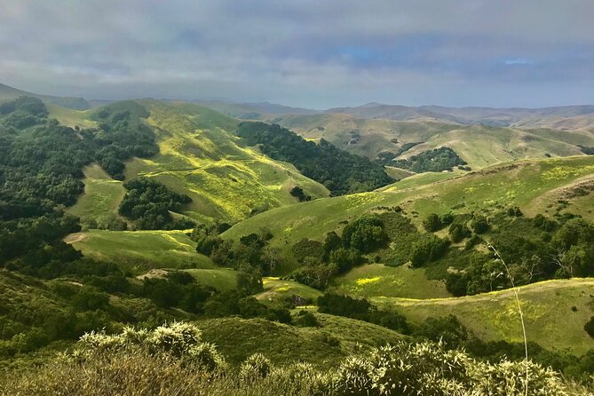 Private Tour of Californias Central Coast (San Luis Obispo-Paso Robles-Cambria) - Common Questions