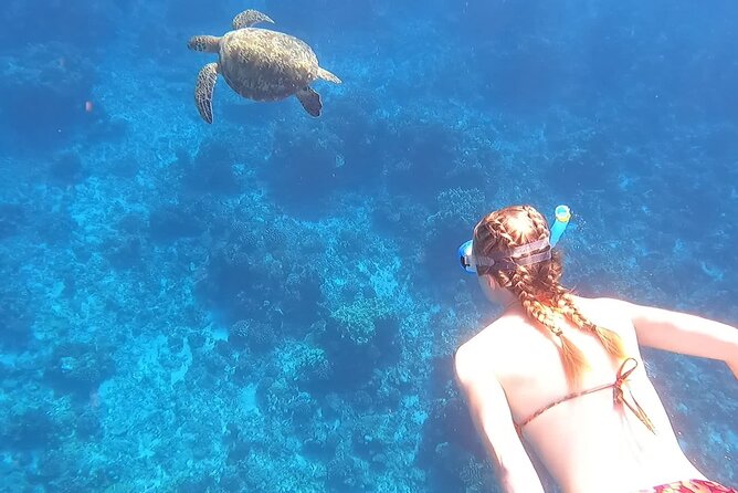 Private Tour of the Tahitis Lagoon by Boat Until 7 Pax - Boat Operator Information