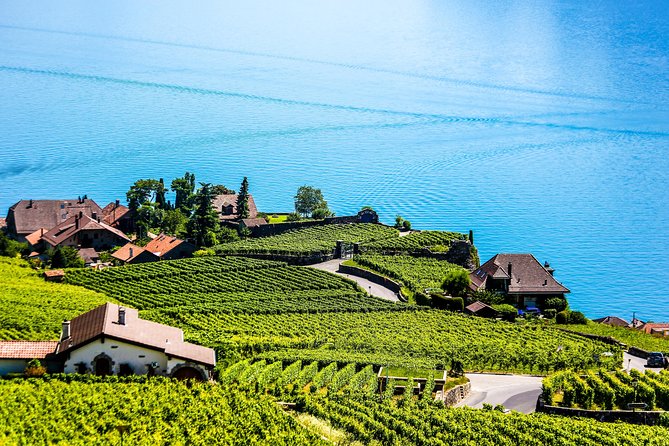 Private Tour to Gruyères, Chocolate & Cheese Factory From Geneva - Common Questions