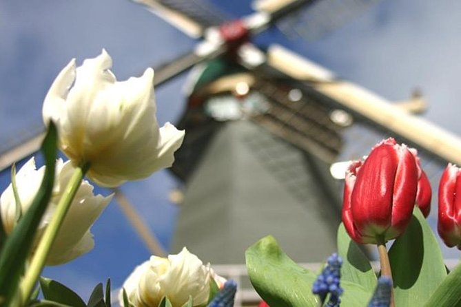 Private Tour to Keukenhof Gardens With Guide - Full Day Tour From Amsterdam - Cancellation Policy