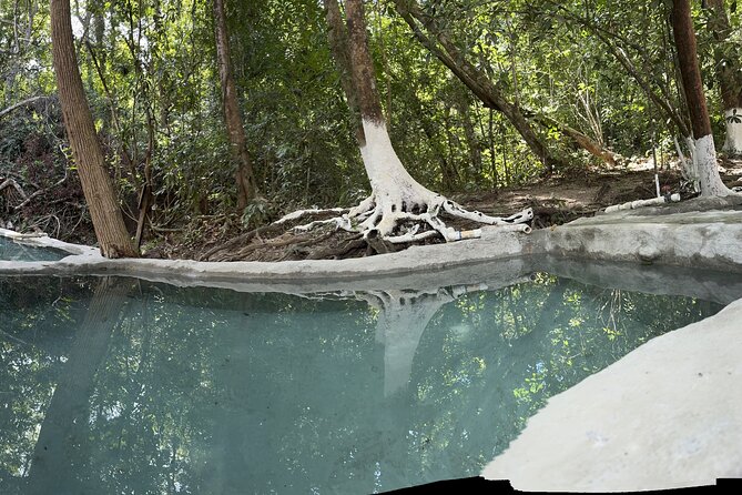 Private Tour to Nuevo Ixtlan Hot Springs With BBQ - The Sum Up