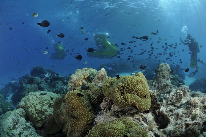 Private Tour: Underwater Scooter Bora Bora - Cancellation Policy