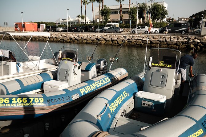 Private Tour With Dolphin Watching in Algeciras Bay - Safety Measures and Instructions