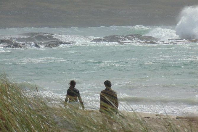 Private Tour:Ring of Kerry,Kerry Cliffs, Starting in (From) Killarney - Positive Reviews From Previous Guests