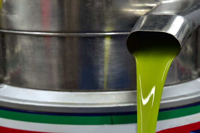 Private Tour:Visit of Agricultural Farm and Free Time in Olympia - Farm Experience and Olive Harvesting