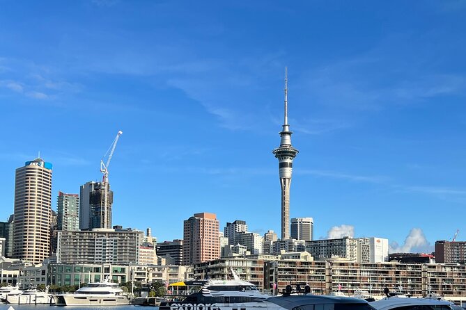 Private Transfer From Auckland Domestic Airport To Auckland City - Common Questions
