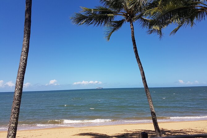Private Transfers Cairns Airport to Port Douglas - The Sum Up