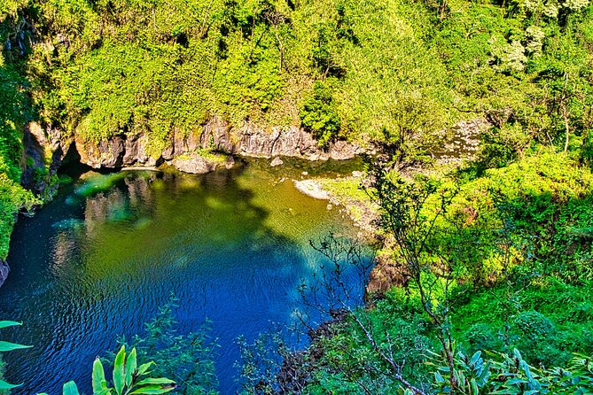 Private Upcountry Maui VIP Sunset Tour - Full Day - Traveler Photos