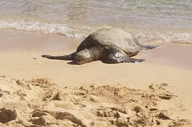Private Waimea Canyon Tour - Value for Money