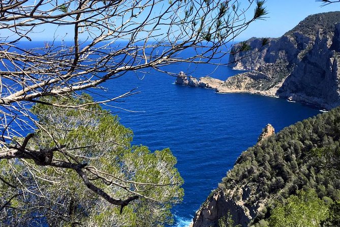 Private Walking & Hiking Experience Ibiza - Common Questions