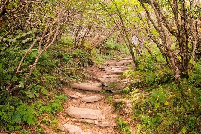 Private Waterfall Hike and Scenic Blue Ridge Parkway Tour - The Sum Up