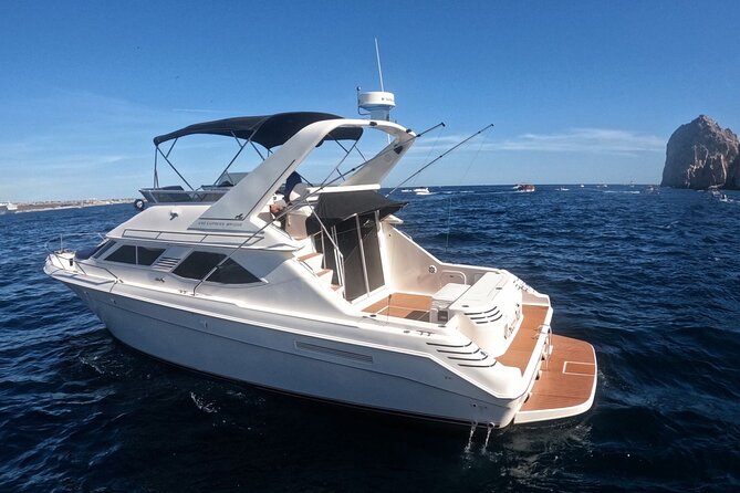 PRIVATE Whale Watching Tour and Snorkeling Tour Cabo San Lucas - Tour Overview