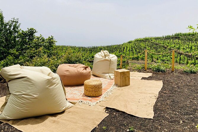 Private Wine and Food Tasting Immersed in Nature in Milo - The Sum Up