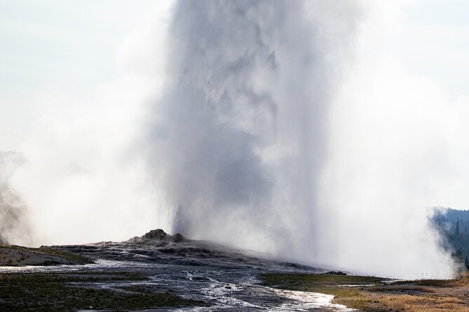 Private Yellowstone Highlights Tour - Contact and Support