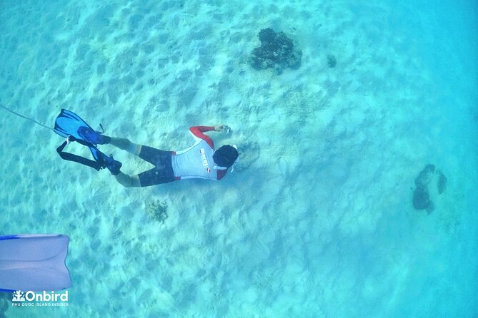 PROFESSIONAL SNORKELING to Explore Hidden Coral Spots (MAX 9 PAX) - The Sum Up