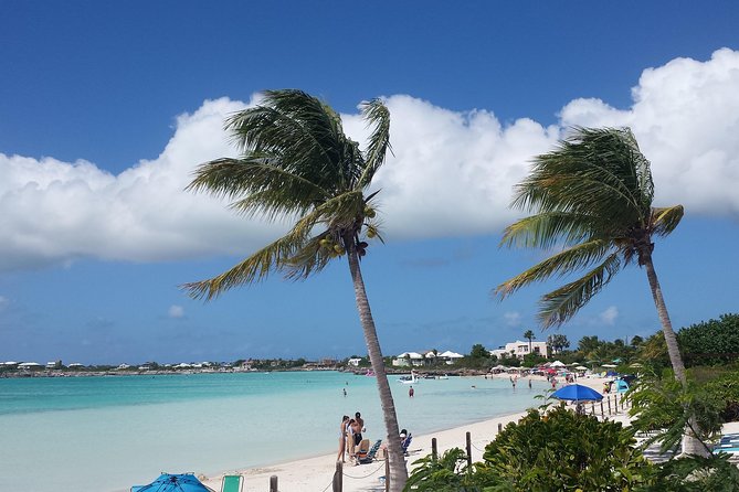 Providenciales Private Half-Day Tour - Booking Information