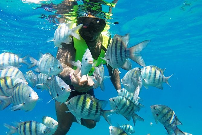 Puerto Plata Shore Excursion, Snorkeling Tour & Sosua Beach Day - Tour Overview