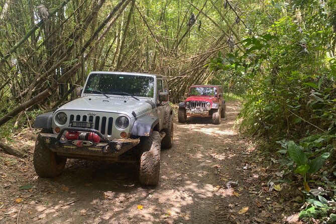 Puerto Rico Private Full-Day Jeep Excursion - What to Expect