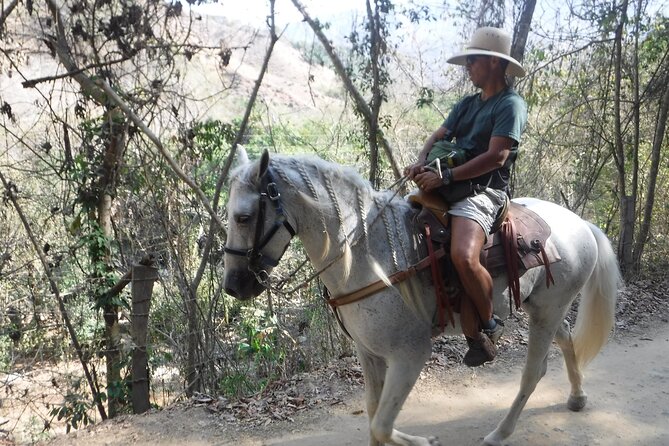 Puerto Vallarta Small-Group Horseback Riding Tour - Common Questions