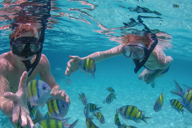 Punta Cana Private Catamaran Small Group (Cat Pause) - Trip Duration