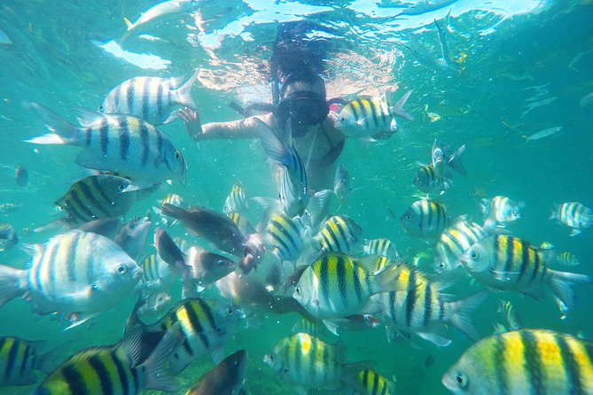 Punta Cana Private Cruise up to 10 Snorkeling & Seafood Lunch - Common Questions