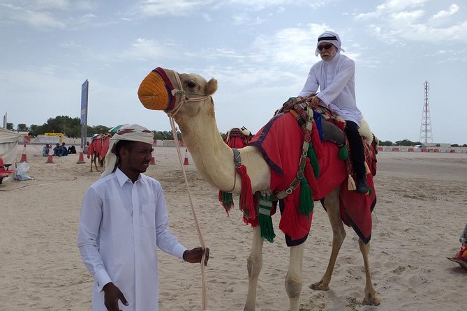 Qatar Gold Dune Safari, Dune Bashing,Camel Ride,Sand Boarding,Inland Sea Desert - The Sum Up