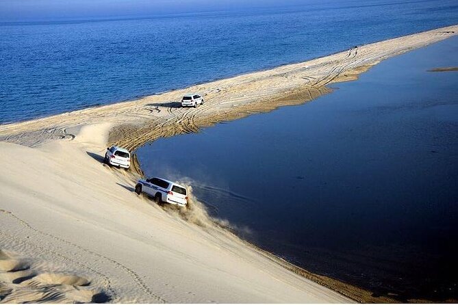 Qatar Private Half-Day Desert Safari Tour From Doha - Private and Personalized Tour