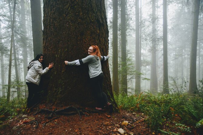 Quarry Rock Hike and Deep Cove Photography - Exploring Deep Coves Hidden Gems