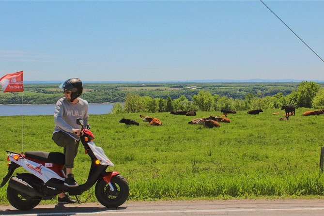 Quebec City : Single Scooter Rental - Ile Dorleans Agrotourism - Common Questions