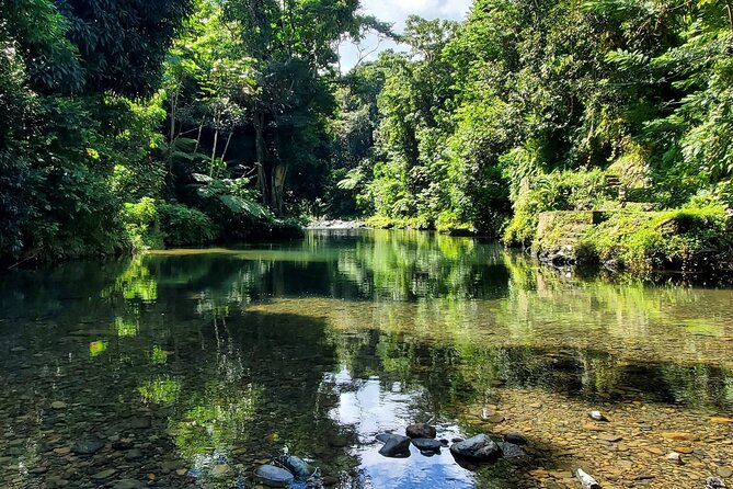 Rainforest and Junglequi Zipline Combo Tour - Tour Highlights