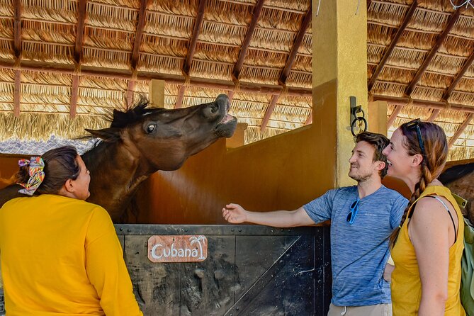 Ranch Farm Experience and Horseback Ride  - La Paz - Additional Information and Recommendations