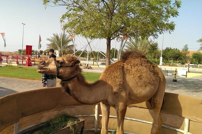 Red Dunes Quad Bike Safari With BBQ & Ferrari World ( 2 Days Tour ) - Cancellation Policy and Refund Details