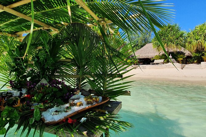 Reef Discovery Luxury Water Lunch Cruise - Reviews and Ratings of the Cruise